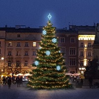 SADY na stromy - DLED TRS2021A LED světelná sada na stromy vysoké 6-8m, teplá bílá s ledově bílými dekory EFD01