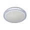 Kruhová - LD 14370-00 FRIDA LED stropní svítidlo Ø30cm CCT transparentní 2700-5000K - LEUCHTEN DIREKT / JUST LIGHT