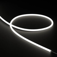 Dekorační - CL NNR13-48V-927 NeonFlex NNR13 48V 2700K CRI90 8,6W/m IP65 přív.kabel 2m, balení 10m - COLORS