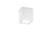 Přisazená - ILUX 251561 TECHO PL1 SMALL BIANCO - IDEALLUX