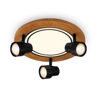 Bodová - BRILO 3763035 Stropní svítidlo, 30 cm, 3x GU10, max. 9W, černá - BRILO