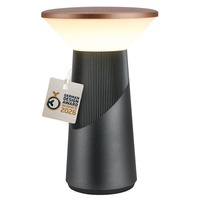 Na stůl - BRI 7675015 PILIA LED stolní lampa dobíjecí antracit / bronz 2,6W 200lm 2700K stmívatelná IP44 - BRILONER
