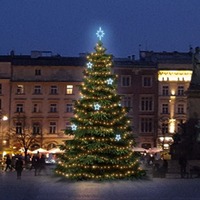 SADY na stromy - DLED TRS3025A LED světelná sada na stromy vysoké 9-11m, teplá bílá s ledově bílými dekory EFD11