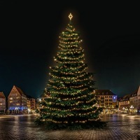 SADY na stromy - DLED TRS701W LED světelná sada na stromy vysoké 21-23m, teplá bílá