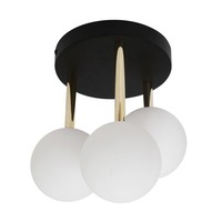 Dekorativní - ZUMA 003064-024507 Stropní svítidlo ALI 5644 - ZUMALINE