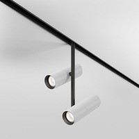 Lištové Magnetic Maytoni Exility - M TR005-4-2X12W-DS-BW Svítidlo pro kolejnicový systém Elti Duo 2700-6000K 24W nastavitelná bílá hliník černá/bílá Bluetooth stmívatelné Exility - MAYTONI