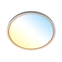 Akční zboží - BRILO 3956015 BRILONER Ina stropní svítidlo pr.49 cm - 48W, 5200lm, stmívatelné, LED, dálkový ovladač, CCT, antracit 3956015