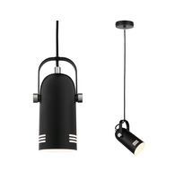 Subtilní - P 79766 VÝPRODEJ VZORKU - Závěsné svítidlo Neordic Lavea 1-ramenné pro osvětlení rostlin černá bez zdroje světla max. 15W E27 - PAULMANN