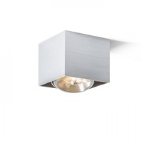 Downlight - RED R10610 DEAN I česaný hliník 230V/12V G53 50W - RED - DESIGN RENDL