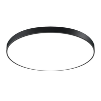 LED stropní svítidla - Stropní světlo LED Černé tělo - kulaté