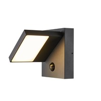 Nástěnná - LA 1002990 ABRIDOR SENSOR Outdoor, nástěnné LED svítidlo, IP55, antracitové, 3000/4000K - BIG WHITE (SLV)