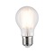 E27 - P 28621 LED žárovka 9 W E27 mat teplá bílá - PAULMANN