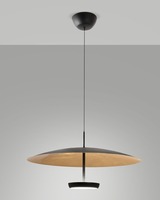 Kruhová - FABAS 3803-45-294 Závěsné svítidlo Yuko LED 40W 3200lm 3000K krokové stmívání lístkové zlato / černá - FABAS