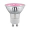 GU10/GZ10 - P 28974 Grow Green Edition Filament 230V LED reflektor GU10 3,5W 1100K na růst rostlin - PAULMANN