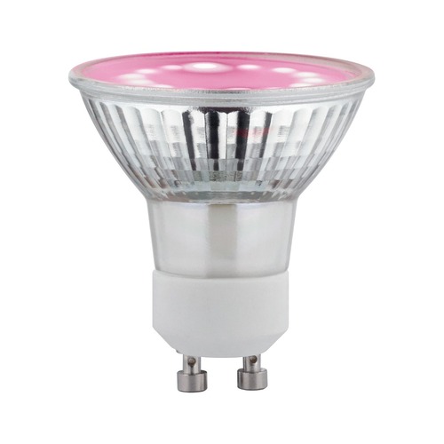 GU10/GZ10 - P 28974 Grow Green Edition Filament 230V LED reflektor GU10 3,5W 1100K na růst rostlin - PAULMANN - foto 1