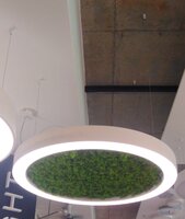 Dekorativní - ARCHI SBS/GI900/4K/WH/MOSS Závěsné svítidlo BELO GI s akustickou výplní (mech) 4000K 900mm 37W 6390lm ON/OFF opal - ARCHILIGHT