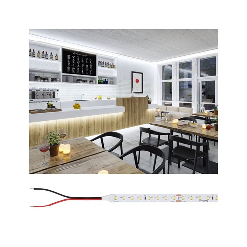 Pracovní osvětlení - P 76027 Pro LED Strip Silver P75 840 10m 42W 750lm/m 96LEDs/m 4000K - PAULMANN - foto 1
