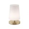 Stolní lampy dekorační - PN 4146-60 SONJA LED stolní lampa v matné mosazi s decentním podlouhlým stínítkem na lampu 3000K - PAUL NEUHAUS
