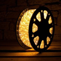 Světelné kabely - DLED LEDRL30W DecoLED LED hadice - 50m, teple bílá, 1500 diod