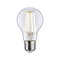 E27 - P 29120 Eco-Line Filament 230V LED žárovka E27 1ks-sada 2,5W 3000K čirá - PAULMANN