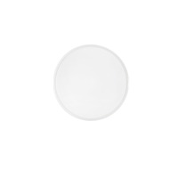 Kruhová - FAN I-MAYFAIR-PL40 Stropní LED svítidlo Mayfair, bílé, 24 W, 2460 lm, CCT, 40 x 7 cm - FANEUROPE