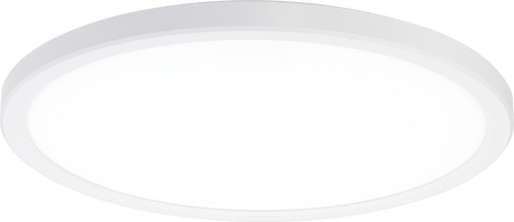 LED stropní svítidla - LED stropní svítidla Bílé těleso 18W CCT + RGB