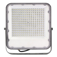 Vnější světlomety - LED SMD Floodlight šedá IP65 100Lm / W