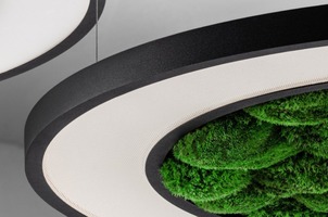 Kruhová - HAL 297-280I-10GED/930/MOSS2, B Závěsné svítidlo Rotao24 LED 30,3W 3800lm 3000K DALI černé s mechem - Halla