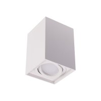Přisazená svítidla - Přisazené svítidlo GORD XS DLP-50-W bílé