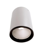 Downlight - IMPR 348057 Stropní svítidlo Luna 20 matná bílá 4000K 19W - LIGHT IMPRESSIONS