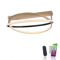 Smart Home Paul Neuhaus - PN 6739-60 Paul Neuhaus LED stropní svítidlo Q-BELUGA matná mosaz stmívatelné Smart Home ZigBee 2700-5000K - PAUL NEUHAUS