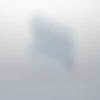 Al profily k zapuštění - FAN I-PROFILO-TRIM-2 Profil TRIM pro sádrokarton do zdi, bílý, opálový difuzor, 200x9,5x1,4 cm - FANEUROPE