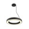 Kruhová - LA 1008591 MEDO® RING 60 závěsné svítidlo, délka závěsu 300 cm, 3000/4000K, 110°, DALI, černá barva. - BIG WHITE (SLV)