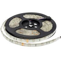 5050 - LED pás 5050 12V vodotěsné Professional Edition