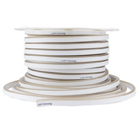 LED flex neon - LED Flex-Neon 220V