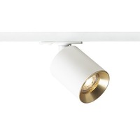 Svítidla - RED R13870 DARIO pro jednookr. lištu bílá česaná mosaz 230V GU10 9W - RED - DESIGN RENDL