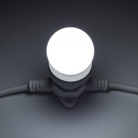 E27 - DLED SMDE27 DecoLED LED žárovka - ledově bílá, patice E27, 12 diod