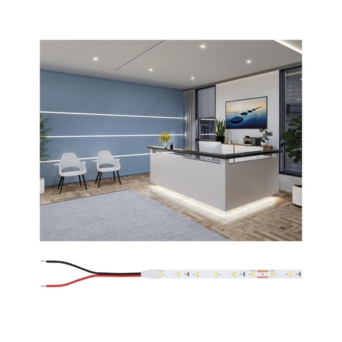 Pracovní osvětlení - P 78440 Pro LED Strip Gold P25 940 5m 22W 420lm/m 60LEDs/m 4000K - PAULMANN - foto 1