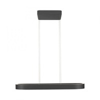 Podélná - PN 2688-18 LED závěsné svítidlo Q-STRETTO, černá, s dálkovým ovladačem, ZigBee, 2700-5000K - PAUL NEUHAUS
