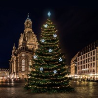 SADY na stromy - DLED TRS6025A LED světelná sada na stromy vysoké 18-20m, teplá bílá s ledově bílými dekory 8EFD13