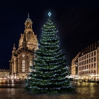 SADY na stromy - DLED TRS601 LED světelná sada na stromy vysoké 18-20m, ledová bílá