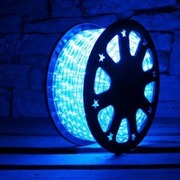 Světelné kabely - DLED LEDRL30B DECOLED LED hadice 50 m, modrá, 1 500 diod