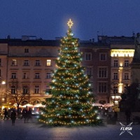 SADY na stromy - DLED TFS301W LED světelná sada na stromy vysoké 9-11m, teplá bílá s Flash