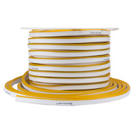 LED flex neon - LED Flex-Neon 220V