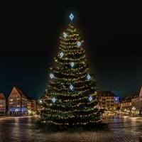 SADY na stromy - DLED TRS7024A LED světelná sada na stromy vysoké 21-23m, teplá bílá s ledově bílými dekory EFD09S2