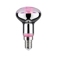 Vystaveno - P 28734 LED Grow Green žárovka pro podporu růstu rostlin R50 E14 4W - PAULMANN