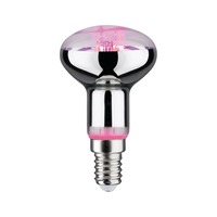 Vystaveno - P 28734 LED Grow Green žárovka pro podporu růstu rostlin R50 E14 4W - PAULMANN