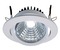 Kruhová - IMPR 565069 Kapego COB Downlight výklopný 12W 6000K bílá 350mA - LIGHT IMPRESSIONS