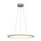 Kruhová - LA 1003047 PANEL 60 DALI Indoor, závěsné LED svítidlo kruhové, šedé, 4000K - BIG WHITE (SLV)
