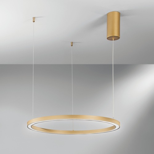 Kruhová - FAN LED-HOOP-S60-ORO Závěsné LED svítidlo HOOP zlatá, 30 W, 4500 lm, CCT, 60 x 150 cm - FANEUROPE - foto 1